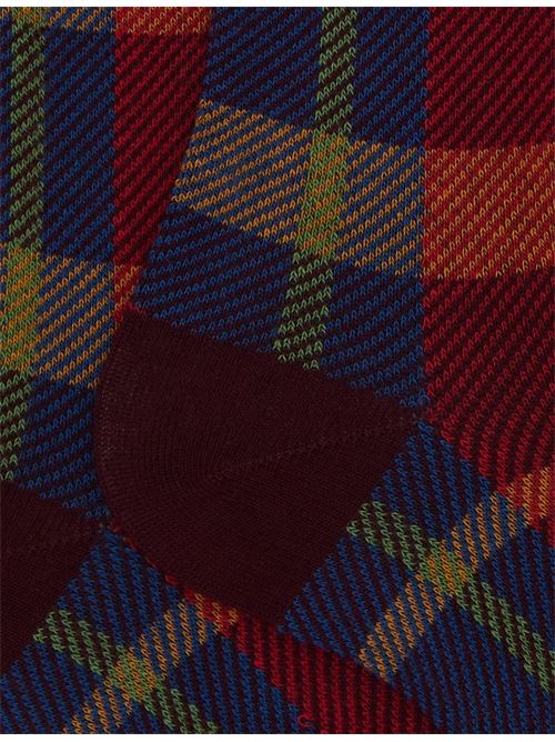 AP51644515681 FANTASIA gallo | AP51644515681 FANTASIA